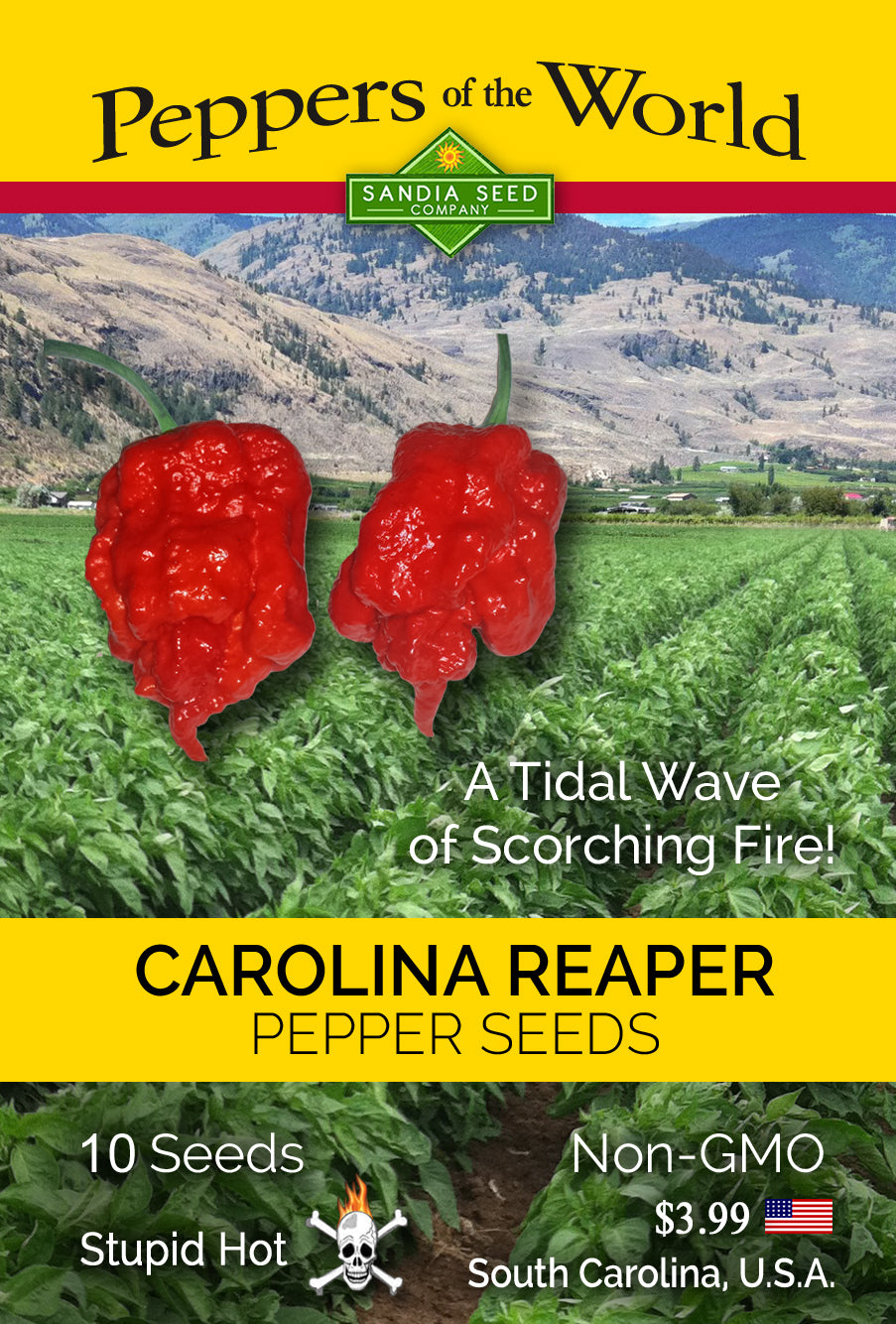 Carolina Reaper 12 x graines PRADEMIR - Graines 100% naturelles du