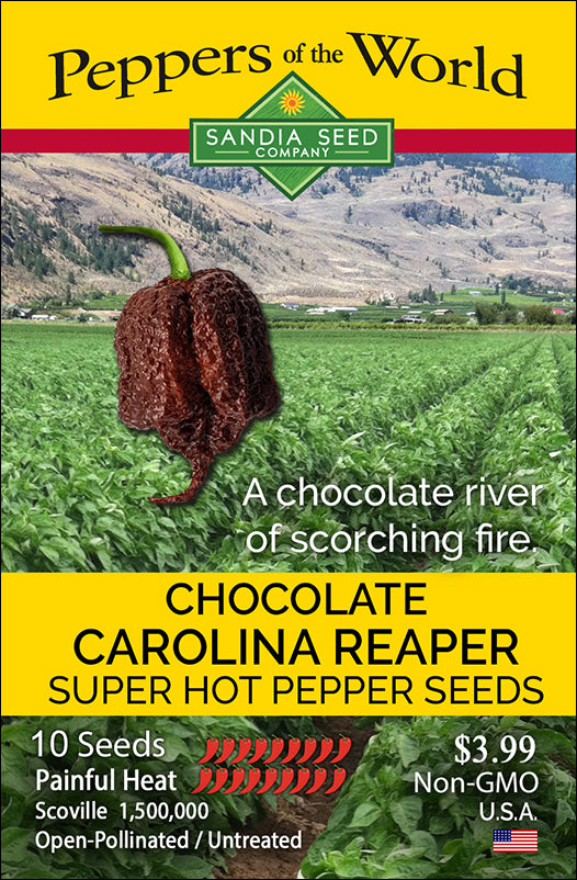 Chocolate Carolina Reaper
