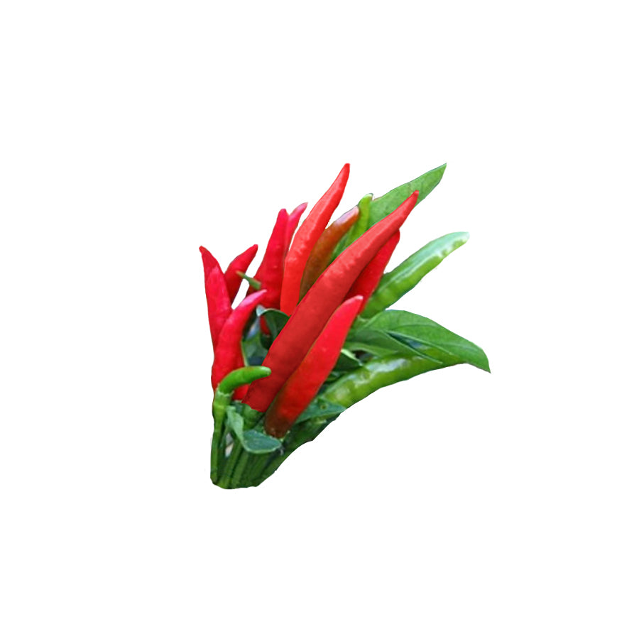 Thai Dragon F1 Pepper Seeds