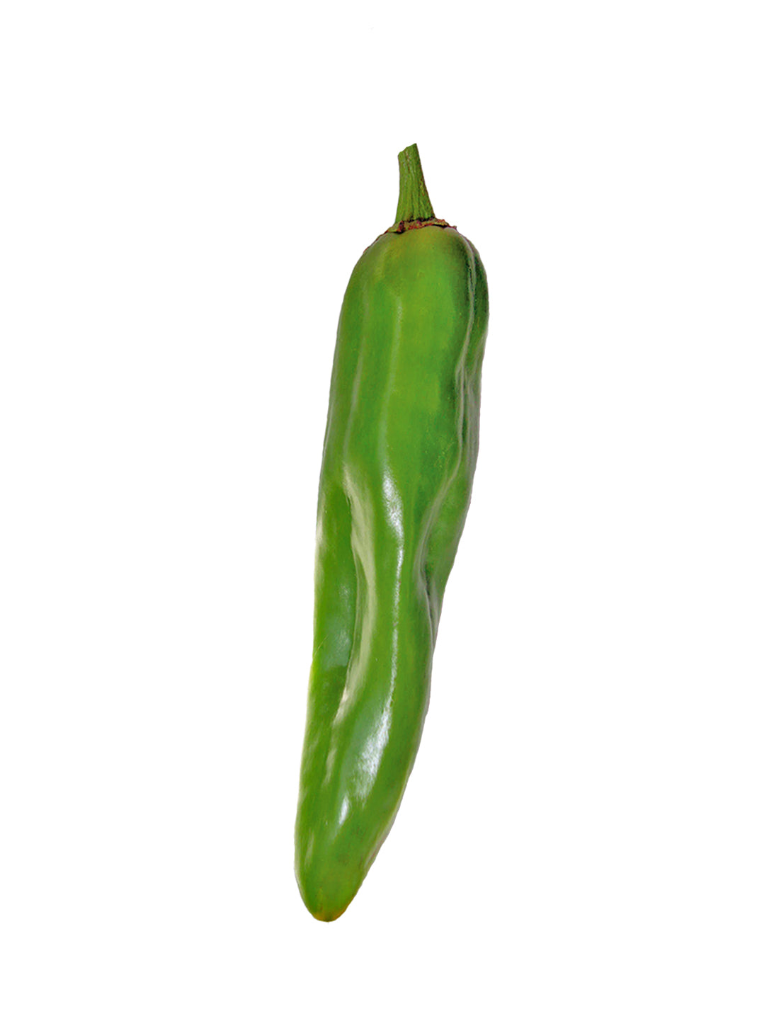 NuMex Big Jim Green Chile Seeds - Sandia Seed Company