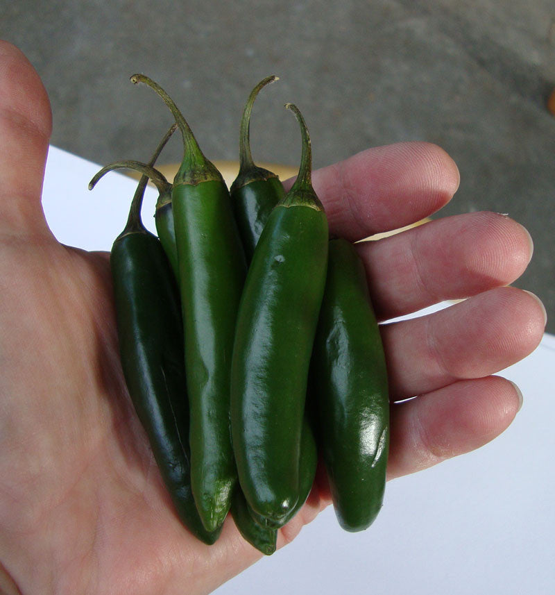 Serrano Tampiqueño Pepper Seeds